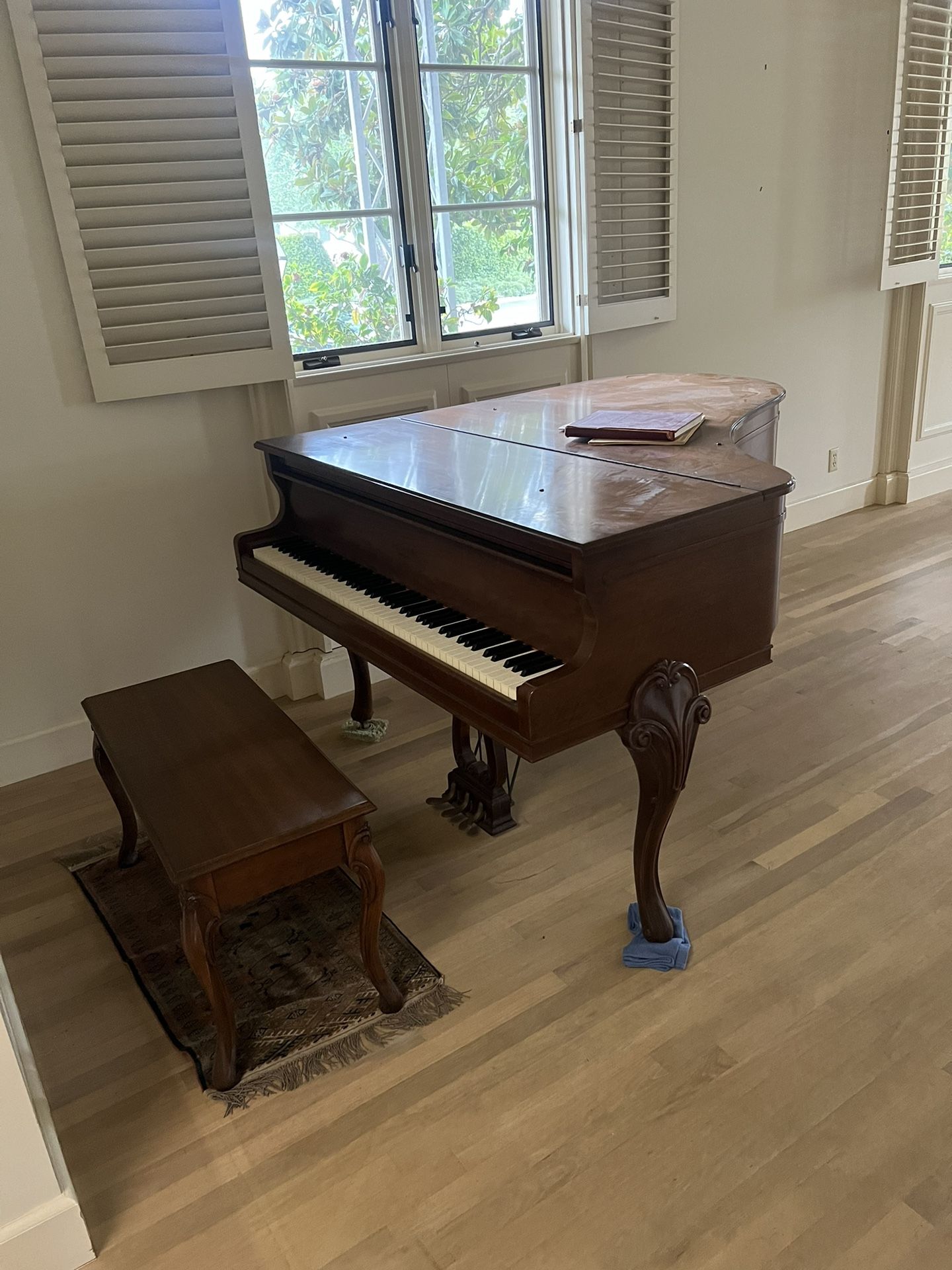 Baby Grand Piano