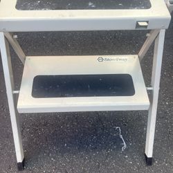 mini ladder