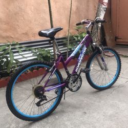 Roadmaster Bike