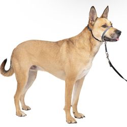 Gentle Leader Head Collar Leash for Large Dogs 60-130 pounds Charcoal NEW