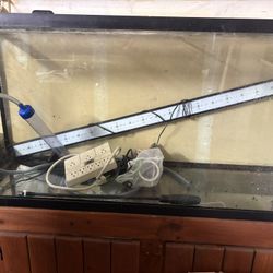 Fish Tank 