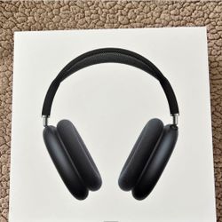 Apple AirPod Max-space gray