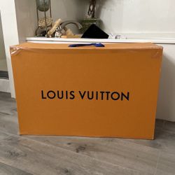 Loui Vuitton Storage Box 