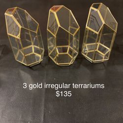 Gold And Glass Terrariums
