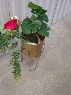 Plant floral pot