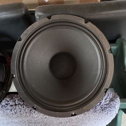 Peavey 12 Inch Speaker
