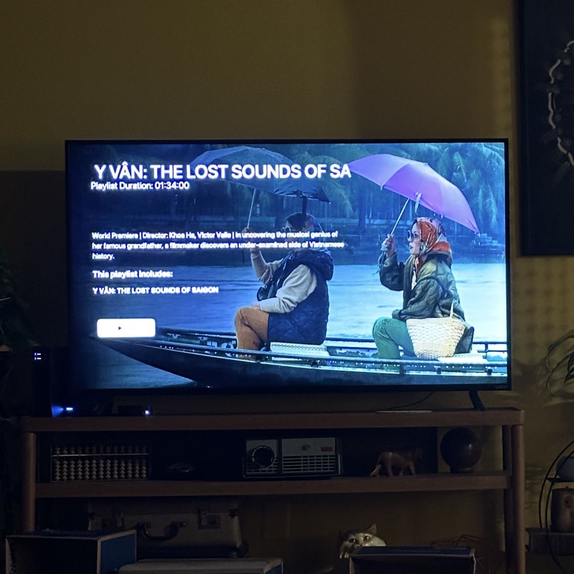 60” Vizio TV