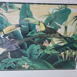 Toucan Photo Black Frame