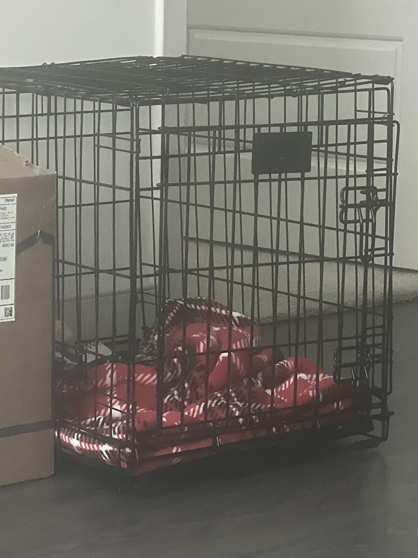 Medium Sized Kennel