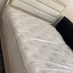 Queen Bed And Mattress 