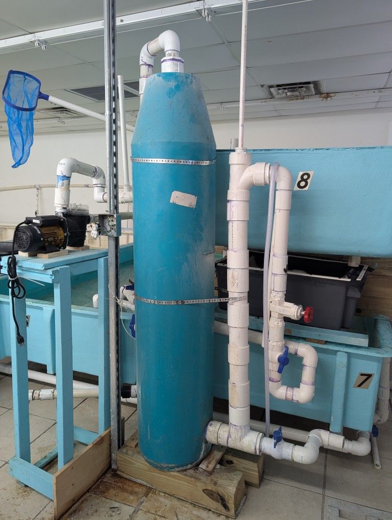 Protein Skimmer For Water Tank