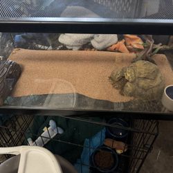 Reptile Cage