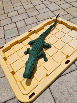 Rubber Alligator
