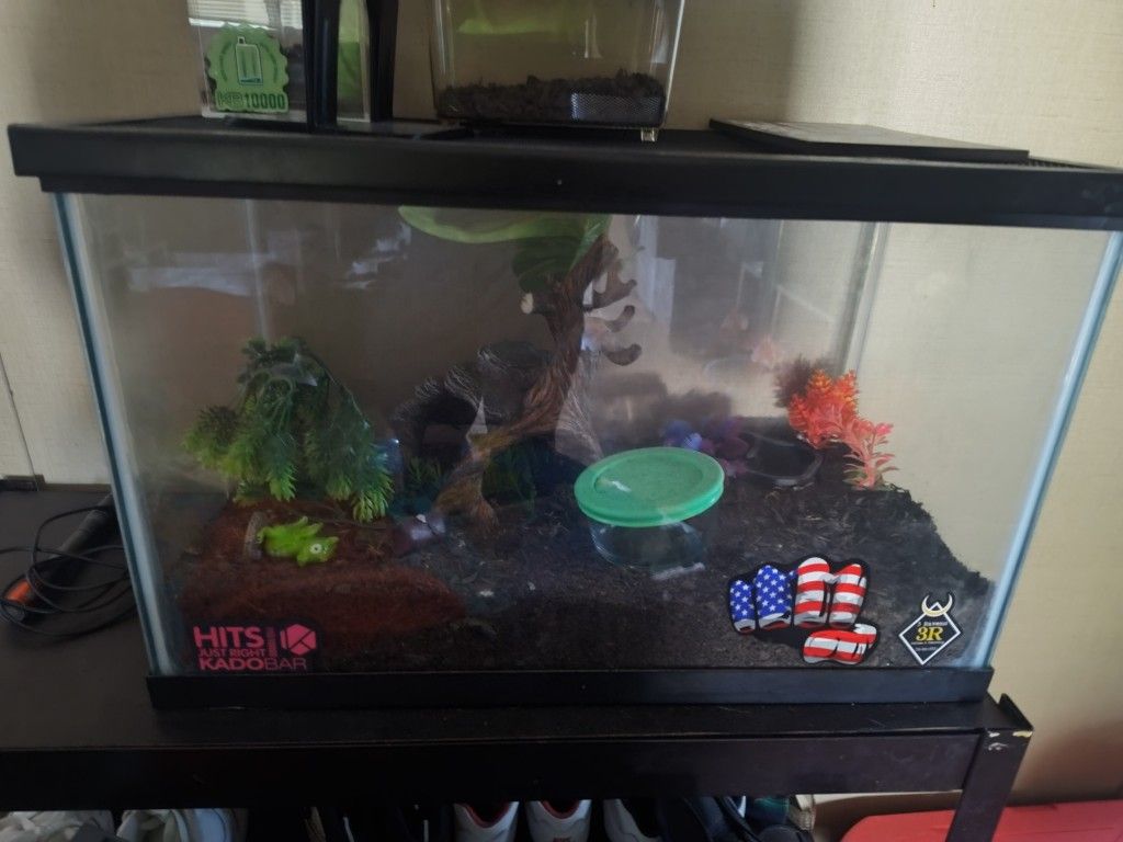 Terrarium