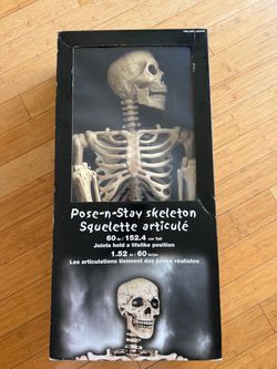 60” Skeleton