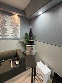 Neumann TLM 103 Condenser Microphone