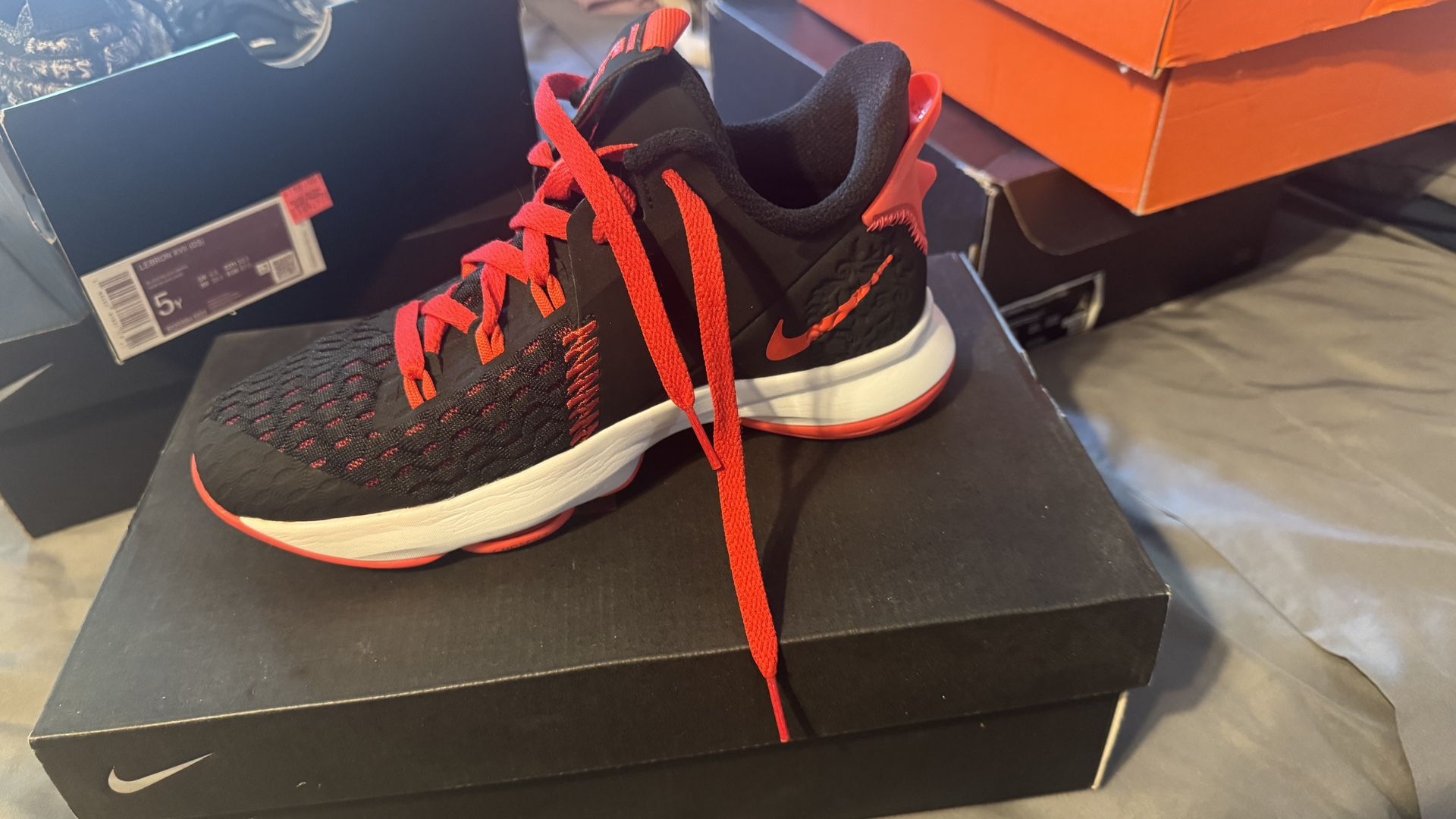 Lebron Nikes