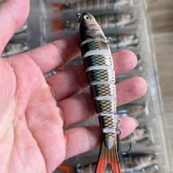 Multi-section fish, jointed fish