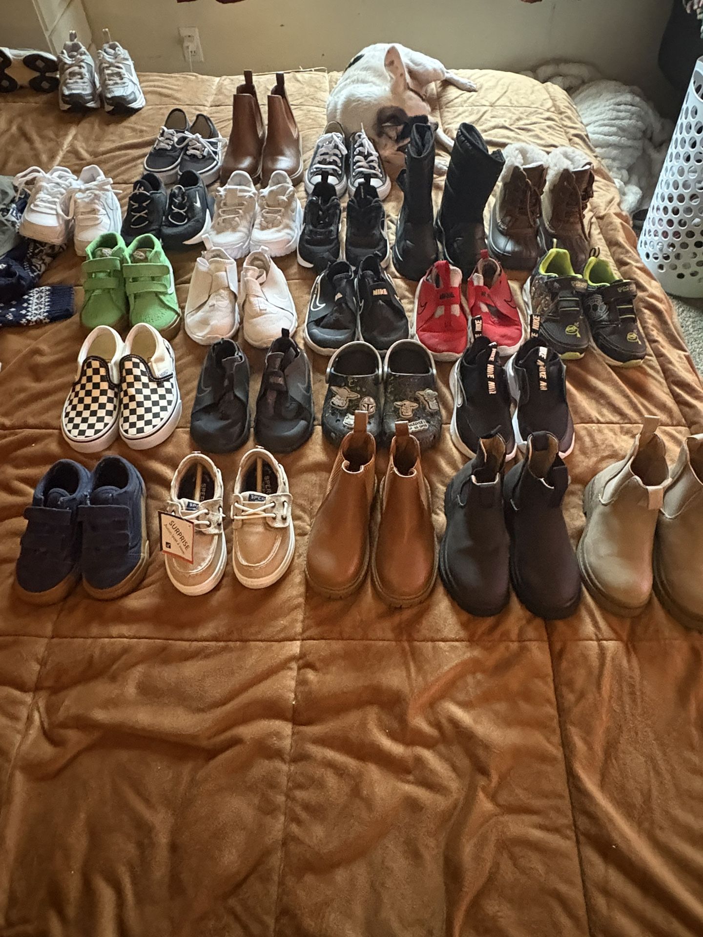 Boys Shoe Lot