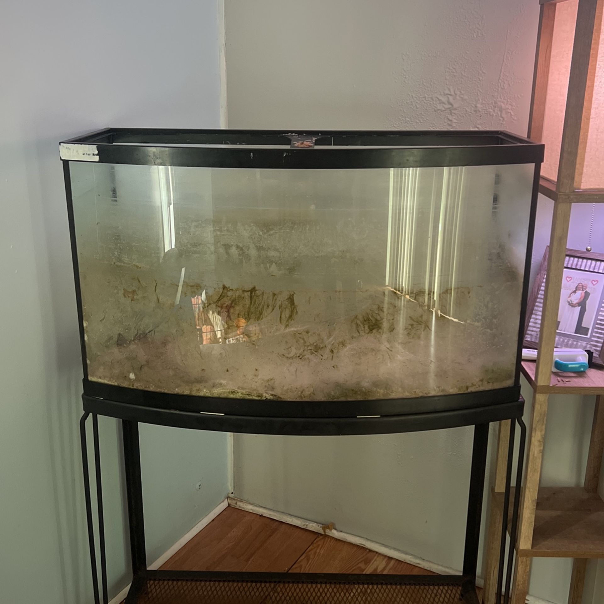 Fish Tank 40 Gallon Front Bow With Stand