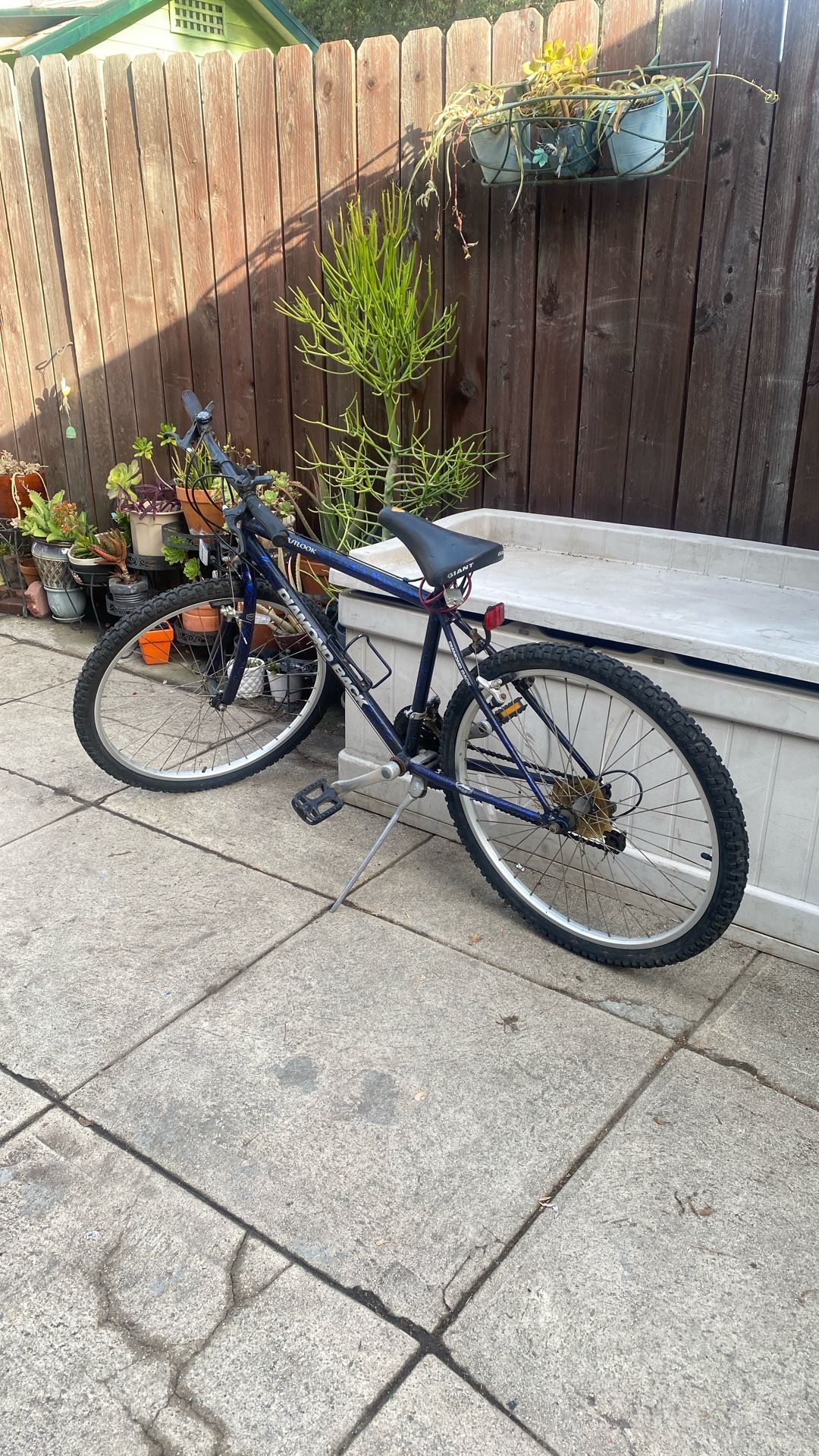 Diamond Back Bike $95