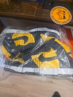 Dunk High Retro SE..10½  Brand new No Box