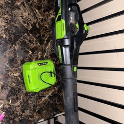 Greenworks Blower