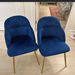 Blue Velvet Chairs 