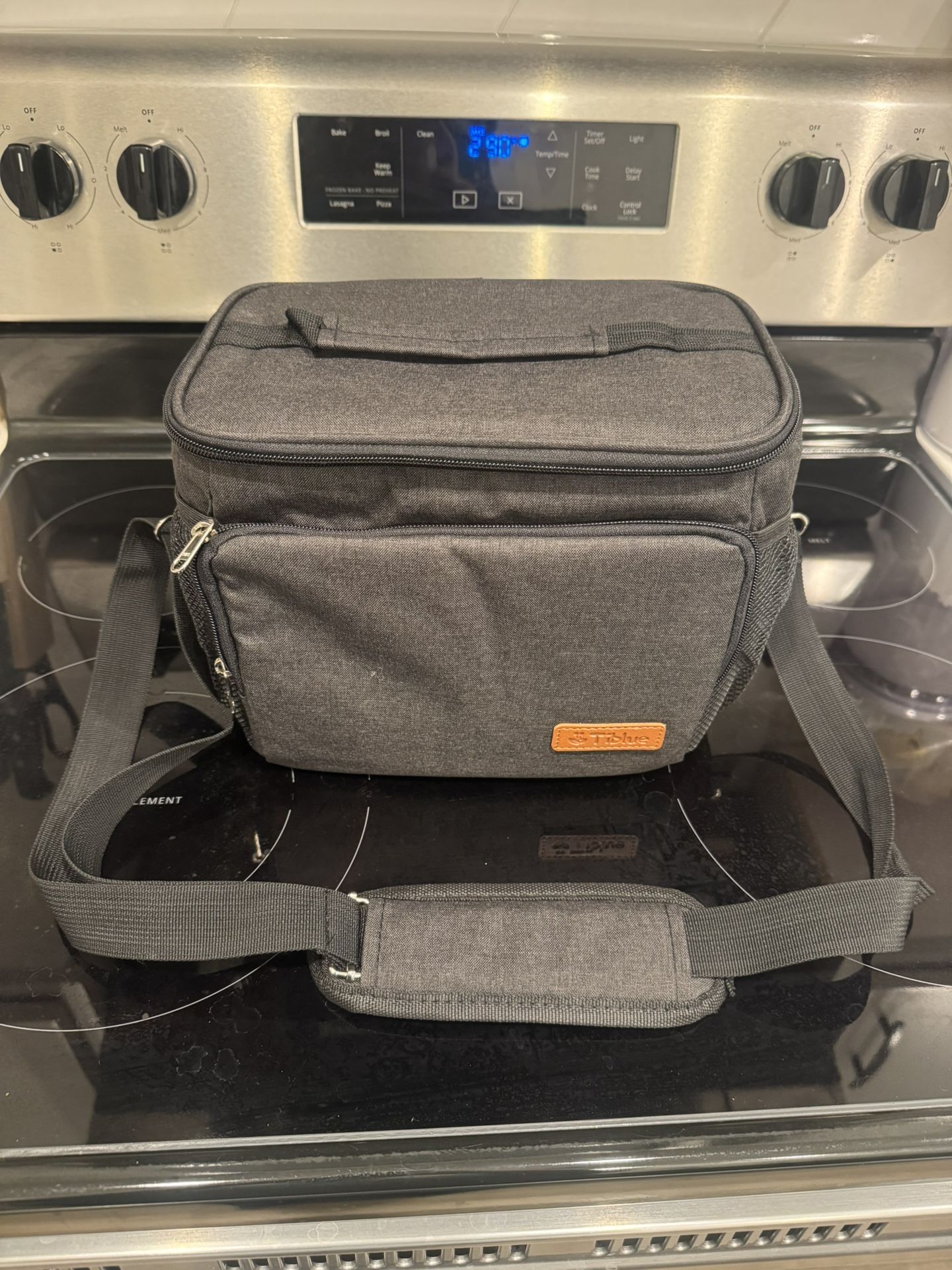 Insulated Lunch Bag/Cooler bag