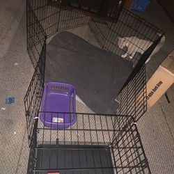 Dog Playpen With Crate