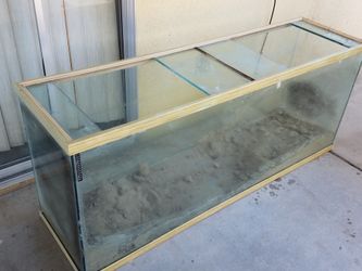 150 gallon saltwater tank