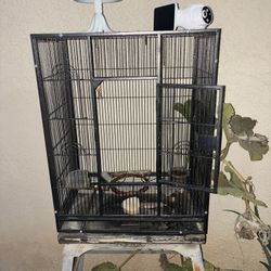 Bird Cage 
