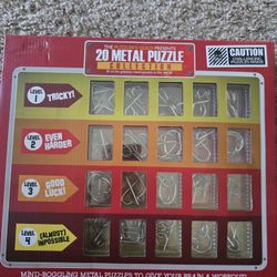 20 Piece Metal Puzzle