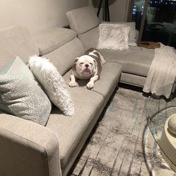 Sofa + Chaise Like New! 