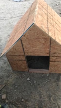 Dog house