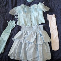 Halloween Costume (Cinderella)