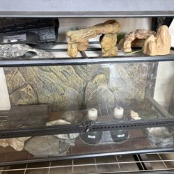 Reptile Tank