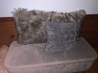 Couch and pillows