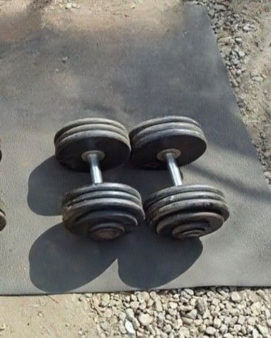 Dumbbells 2x75lbs