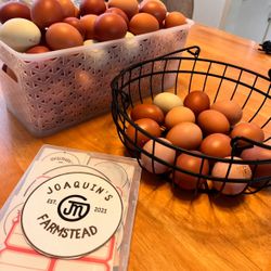 Farm Fresh Eggs 🥚 