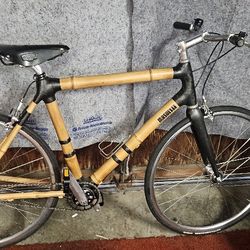 Bamboo Bike