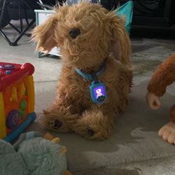 Digital Dog And Monkey Toy. Kids Toys, 
