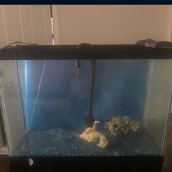 Fish Tank