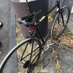 Corsa Dp7 Bike OBO