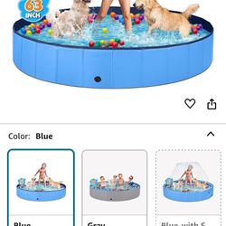 Free Kid/dog Pool 
