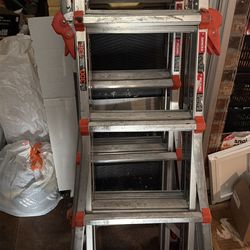 Little giants ladder