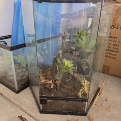 20 Gallon Vertical Reptile Tank