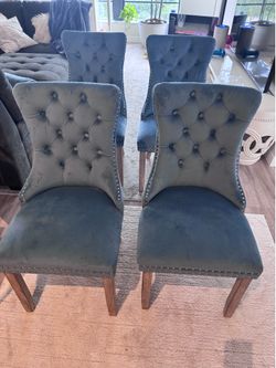 Blue Velvet Dining Chairs