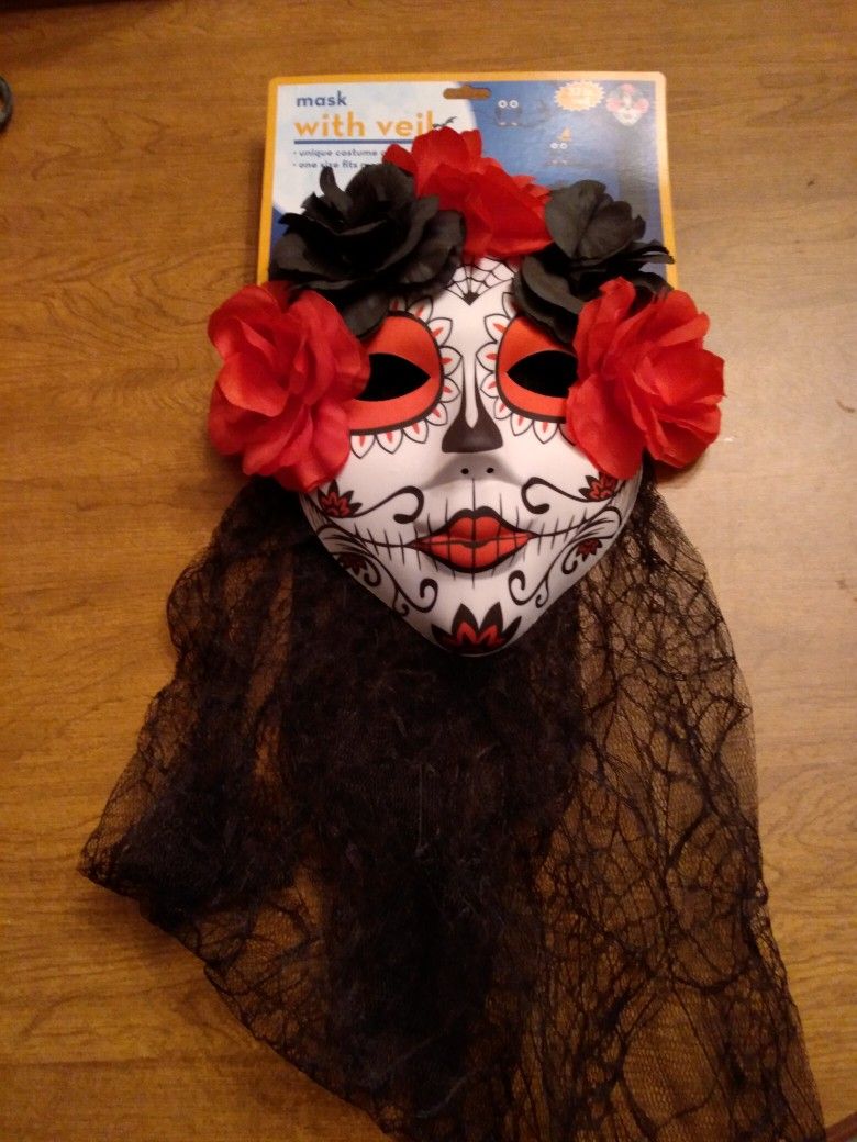 Mask with Veil 