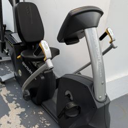 Recumbent Bike